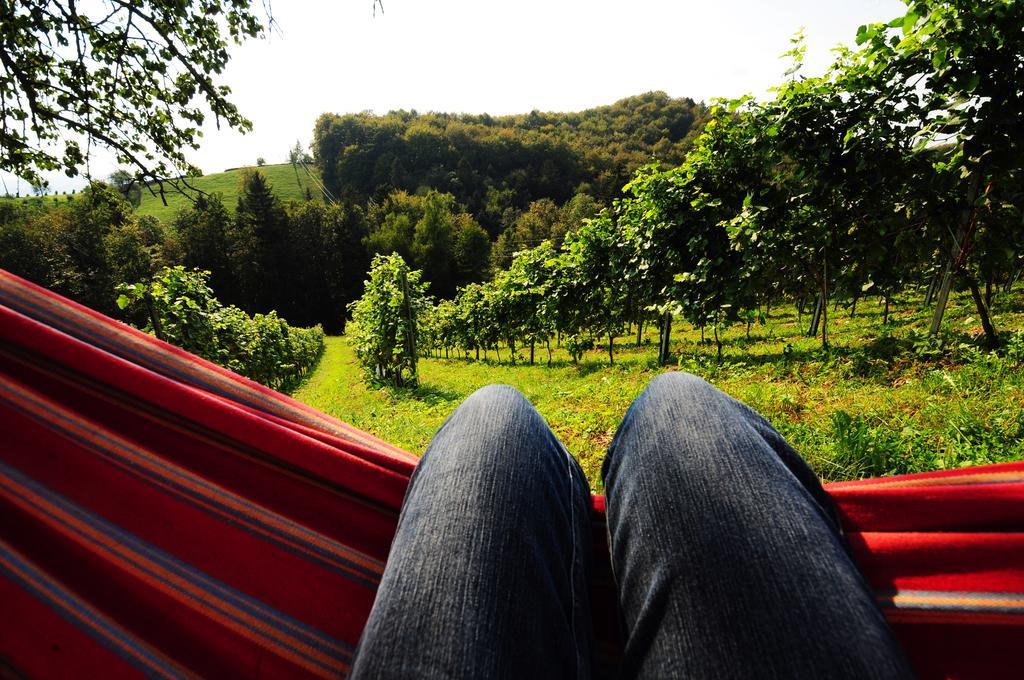 Weingut Winzerzimmer Rothschaedl Лойчах Экстерьер фото